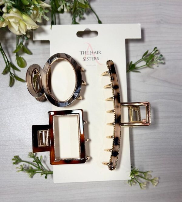 Korean Acetate & Gold Plated Hair Claw Set - Image 2