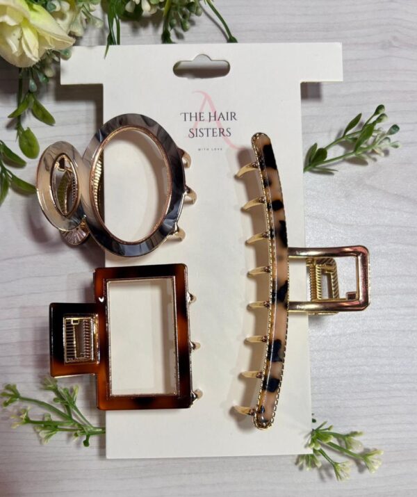 Korean Acetate & Gold Plated Hair Claw Set