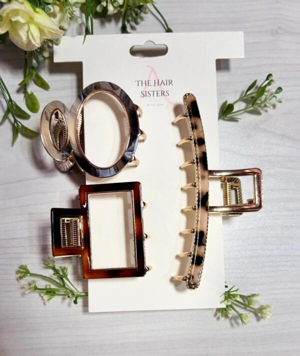Korean Acetate & Gold Plated Hair Claw Set - Image 3